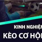 Kinh nghiệm chơi kèo cơ hội kép w88