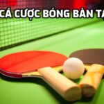 Chơi cá cược bóng bàn tại W88