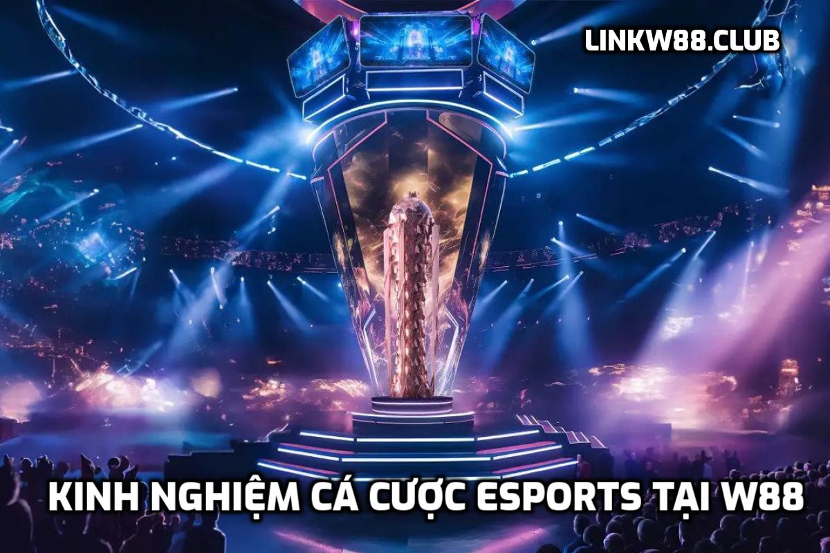 Kinh nghiệm cá cược Esports tại W88