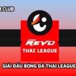 Giải đấu bóng đá Thai League