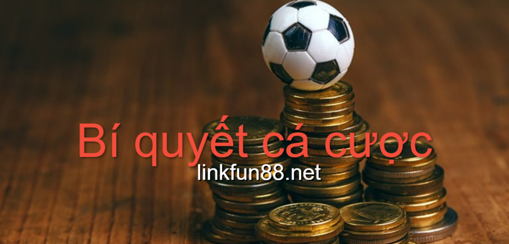 Bí quyết cá cược