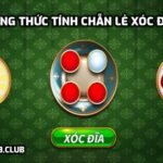 Công thức tính Chẵn Lẻ Xóc Đĩa