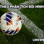 Cược theo phân tích đội hình ra sân