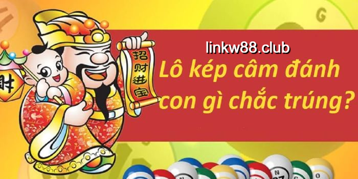 Giải đáp lô kép câm